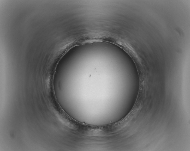 X0000111180066200907081244