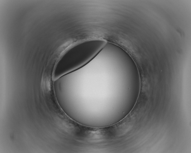 X0000111180068200907081244