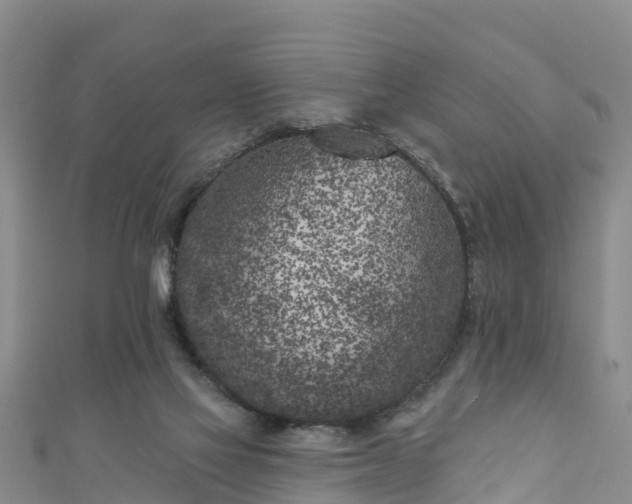 X0000111180069200907081244