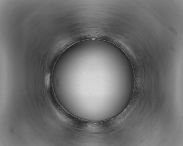 X0000111180070200907081244