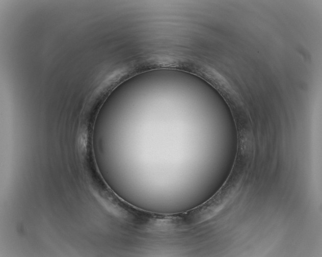 X0000111180072200907081244