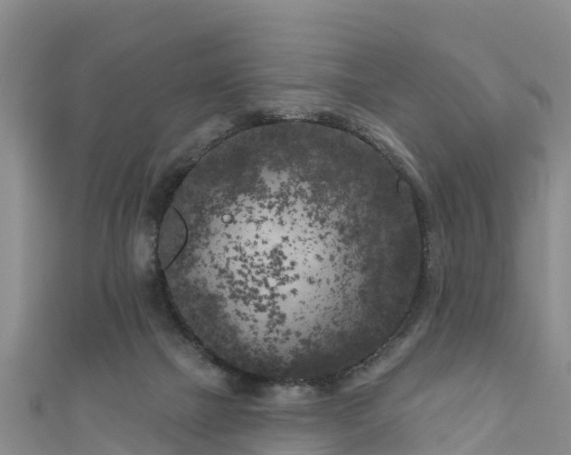 X0000111180073200907081244