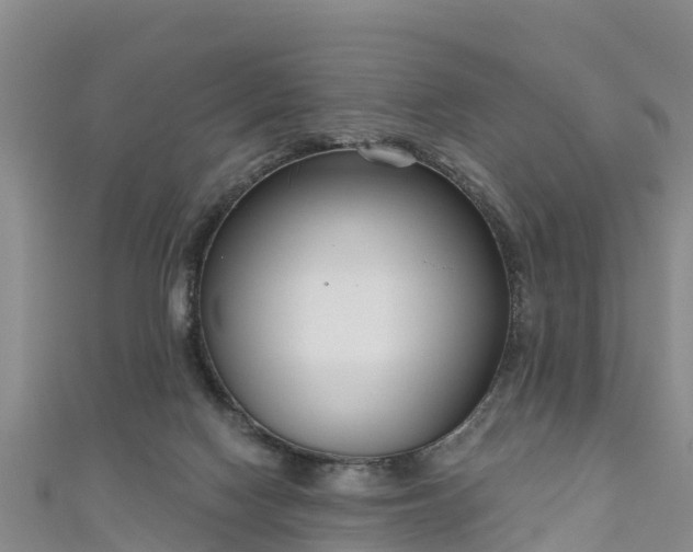 X0000111180074200907081244