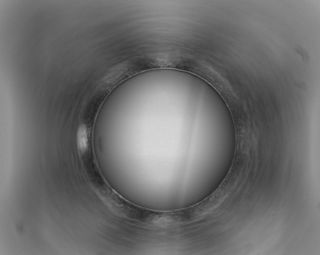 X0000111180075200907081244