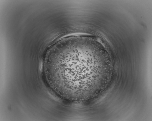 X0000111180076200907081244