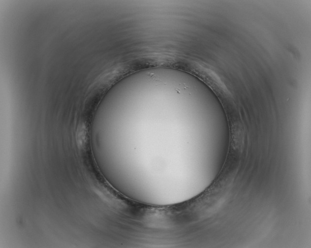 X0000111180077200907081244