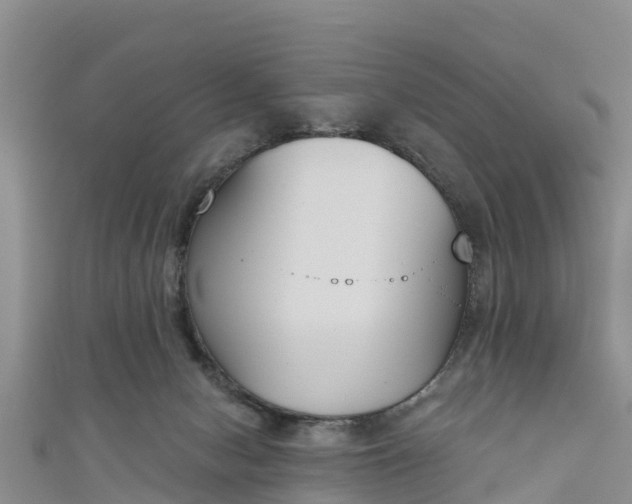 X0000111180078200907081244