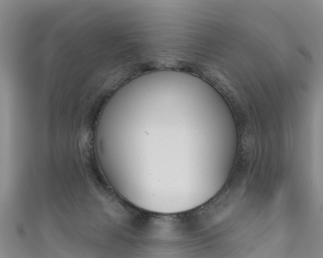 X0000111180079200907081244