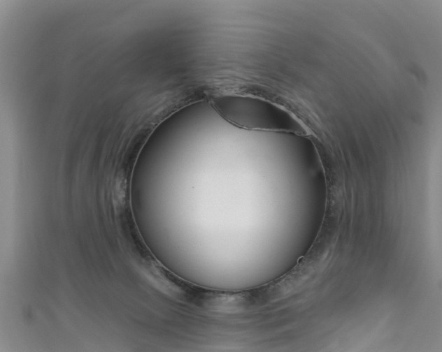 X0000111180081200907081244