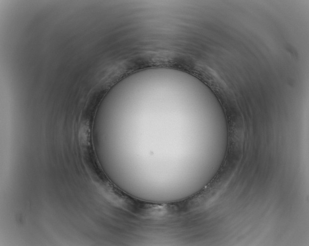 X0000111180083200907081244