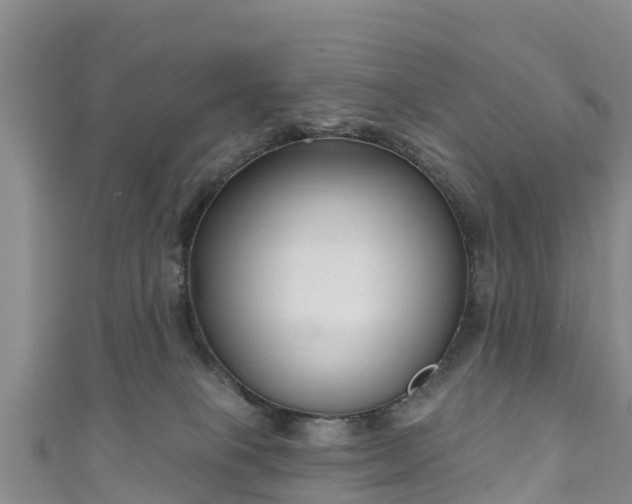 X0000111180085200907081244