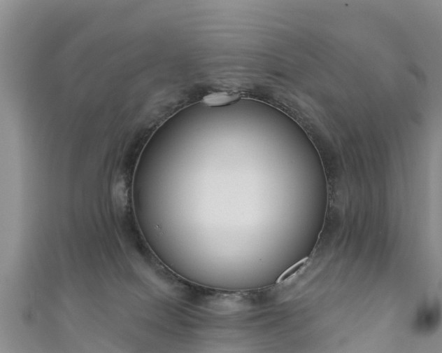 X0000111180086200907081244