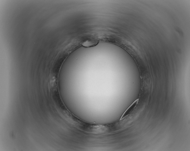 X0000111180087200907081244