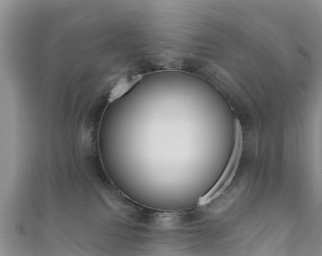 X0000111180088200907081244