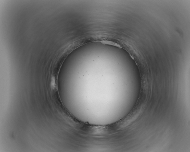 X0000111180089200907081244