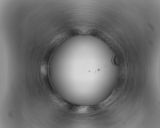 X0000111180090200907081244