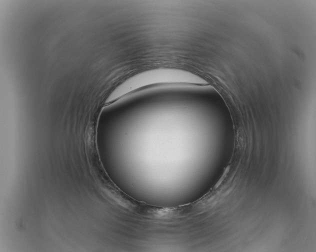 X0000111180092200907081244