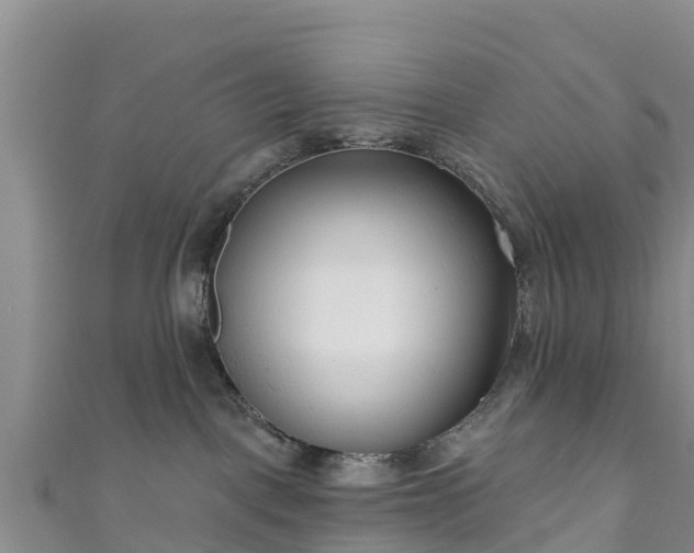 X0000111180093200907081244