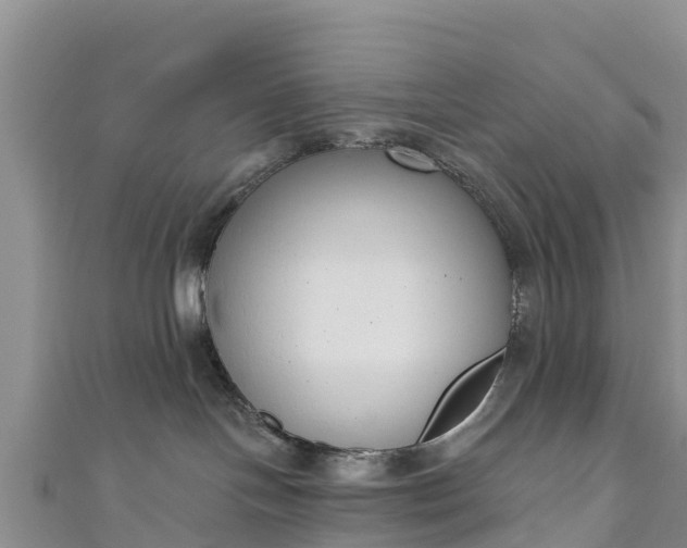 X0000111180094200907081244