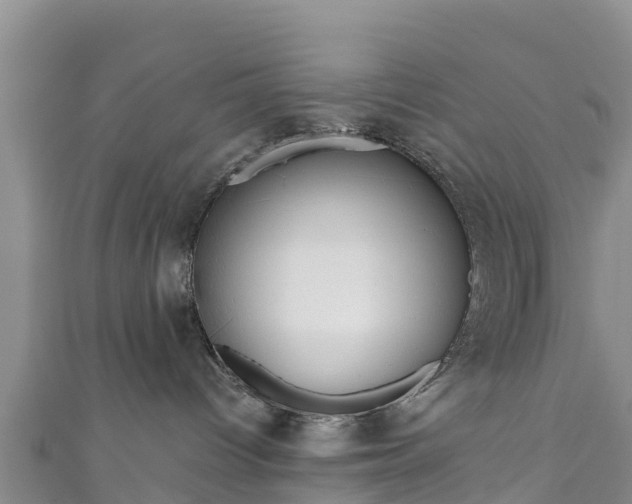 X0000111180096200907081244