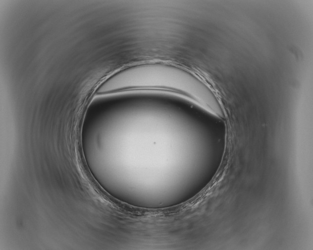 X0000111180097200907081244