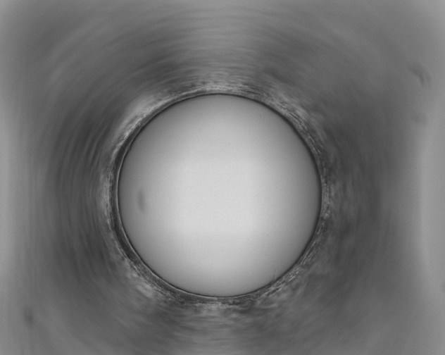 X0000111180098200907081244