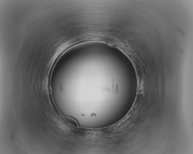 X0000111180099200907081244