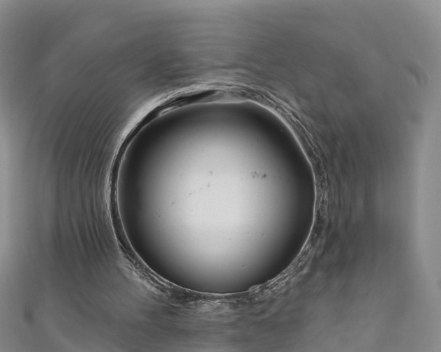 X0000111180100200907081244