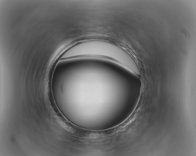 X0000111180101200907081244