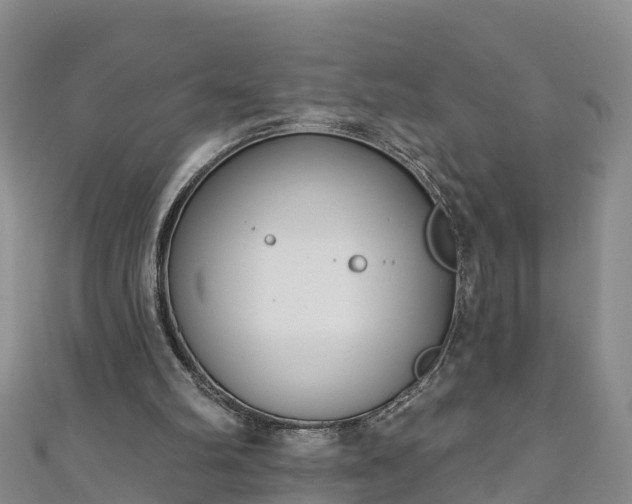 X0000111180102200907081244