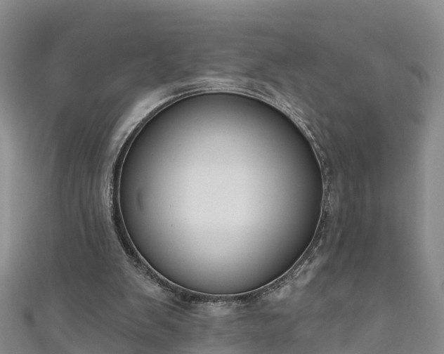 X0000111180103200907081244