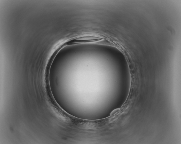 X0000111180104200907081244