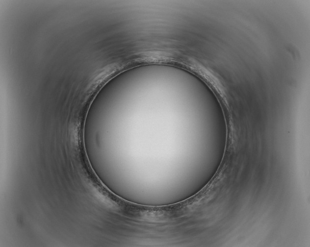 X0000111180105200907081244