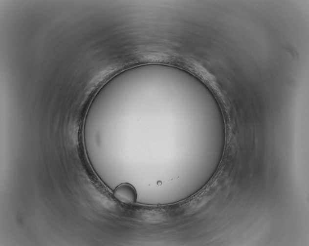 X0000111180106200907081244