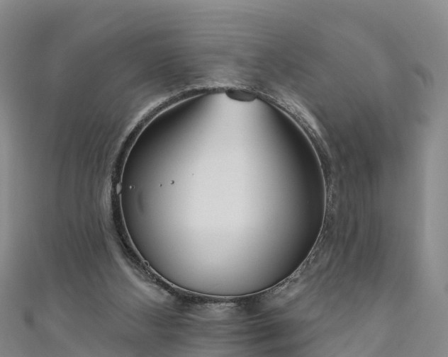 X0000111180108200907081244