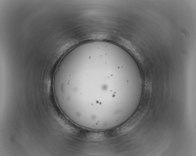 X0000111180110200907081244