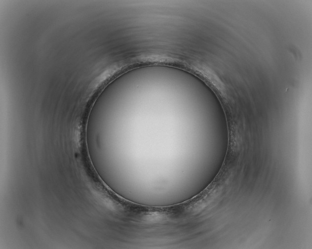 X0000111180111200907081244