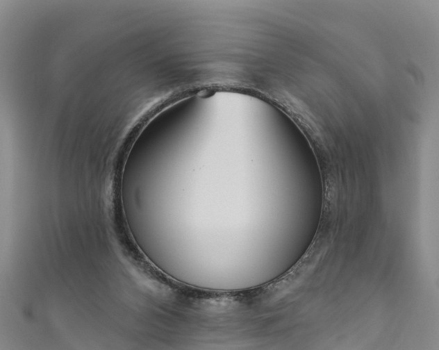 X0000111180112200907081244