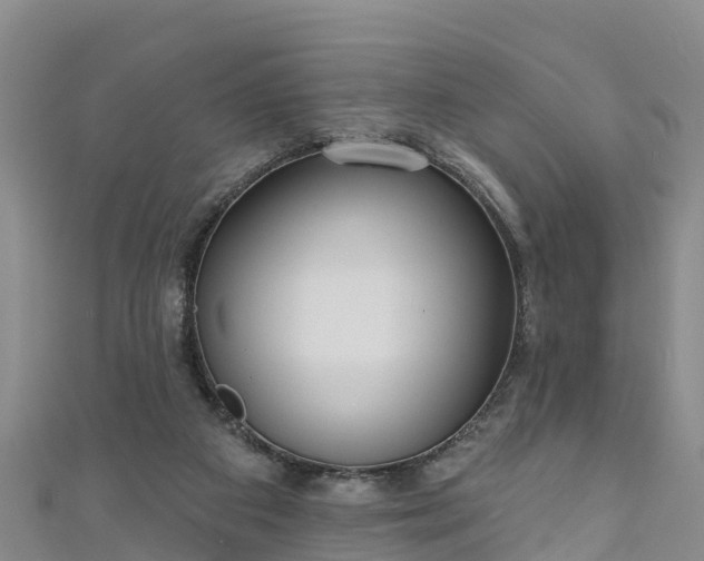 X0000111180113200907081244