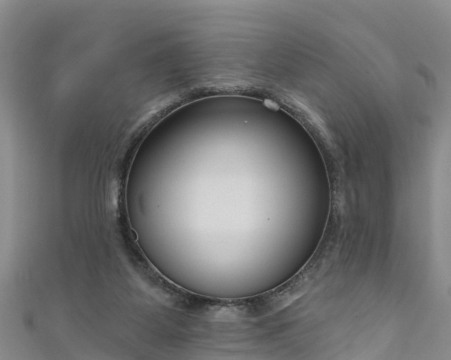 X0000111180115200907081244