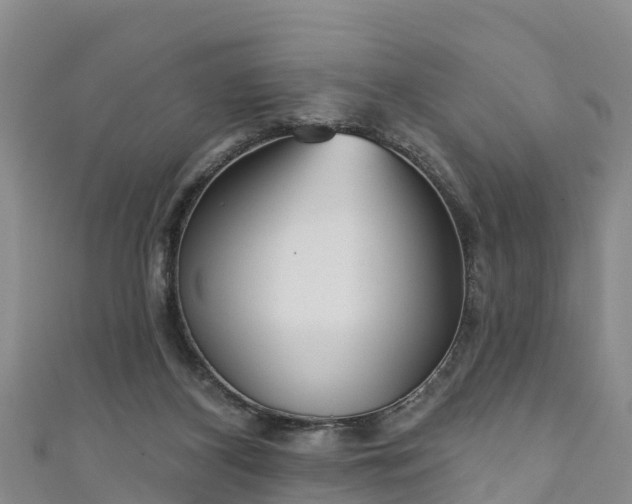 X0000111180116200907081244