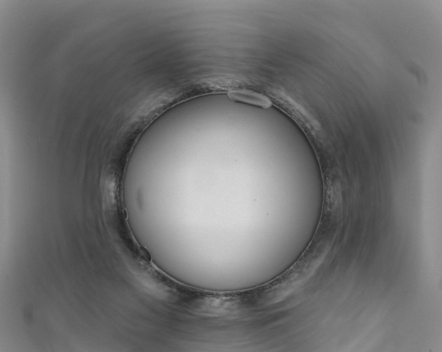 X0000111180117200907081244