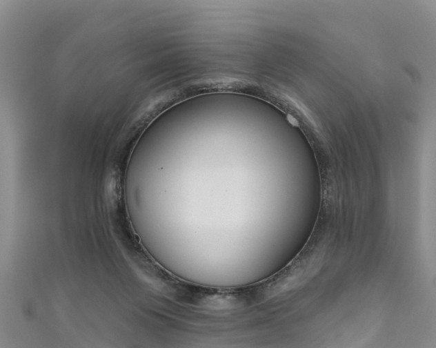 X0000111180119200907081244