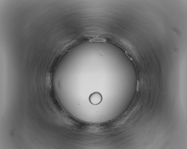 X0000111180121200907081243