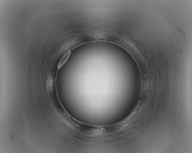 X0000111180124200907081243