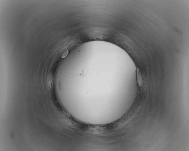 X0000111180125200907081243