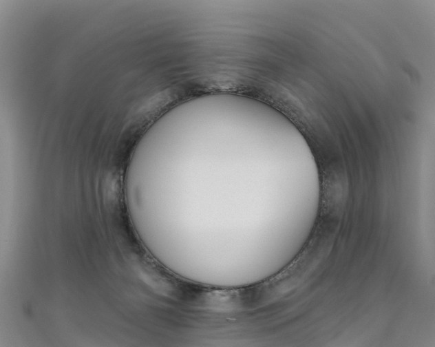 X0000111180126200907081243