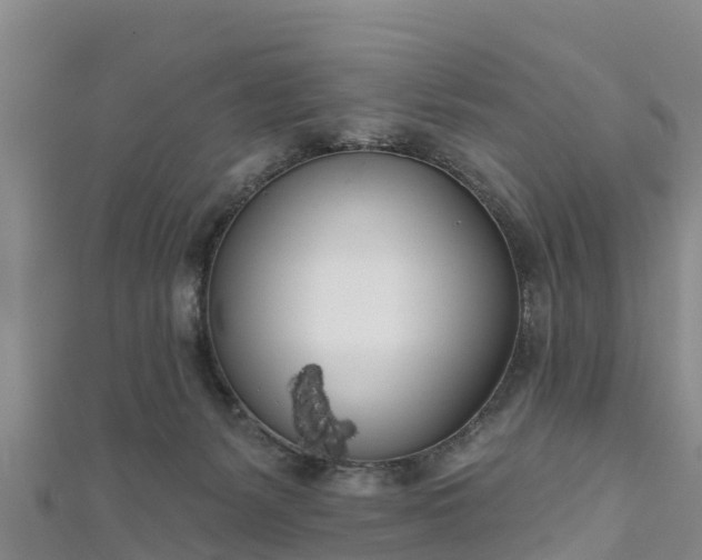 X0000111180127200907081243