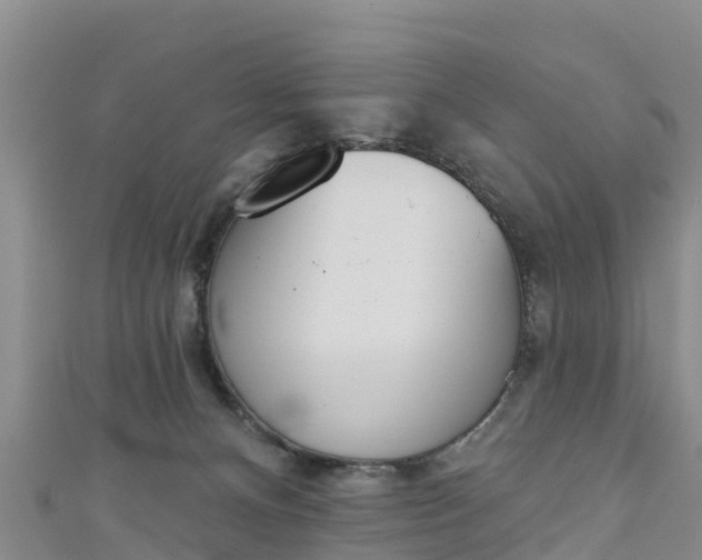 X0000111180128200907081243