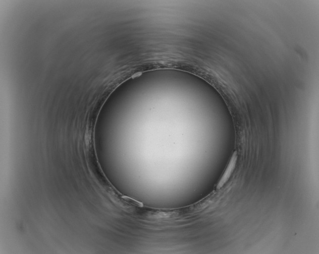 X0000111180129200907081243